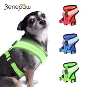 Rechargeable LED Light Dog Harness