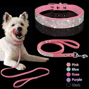 Pet Collar Leash Set