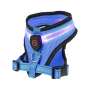 Rechargeable LED Light Dog Harness