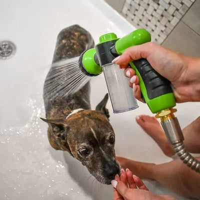 Pup Jet