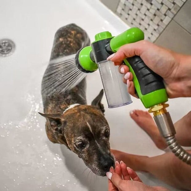 Pup Jet